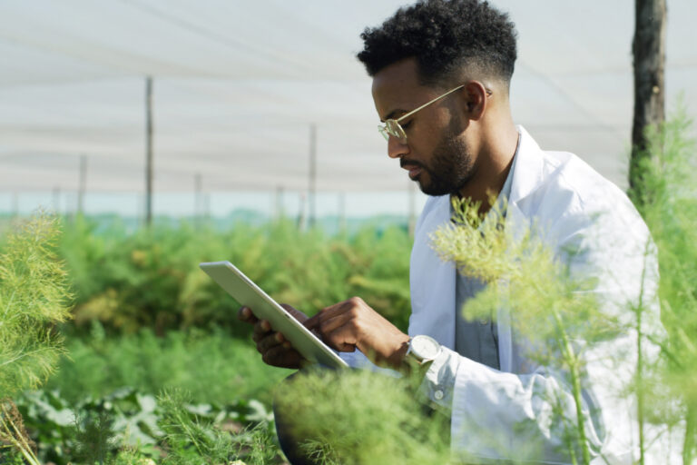 Conheça 3 aplicativos que facilitam a vida do produtor rural