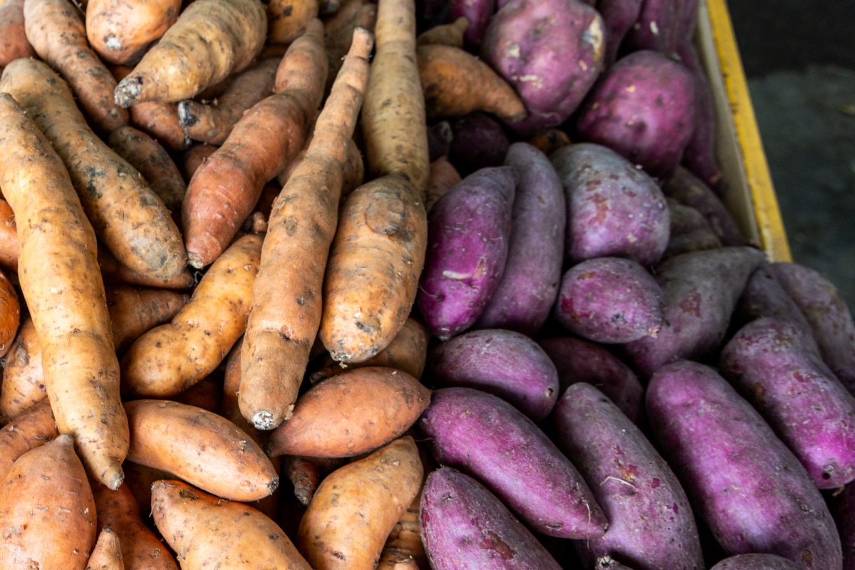 Batatas-doces coloridas