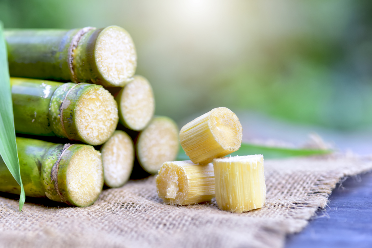 Derivados da cana-de-açúcar