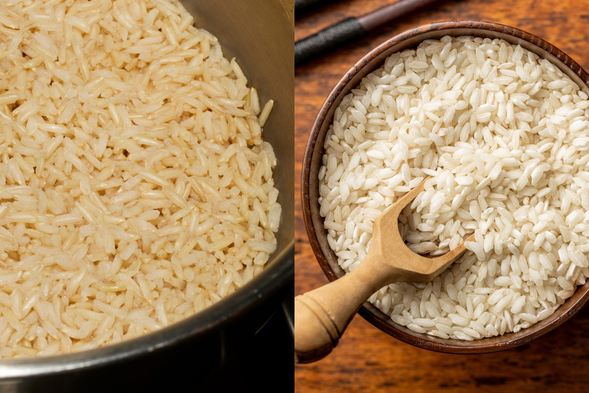 diferenças entre o arroz comum e o arroz arbóreo
