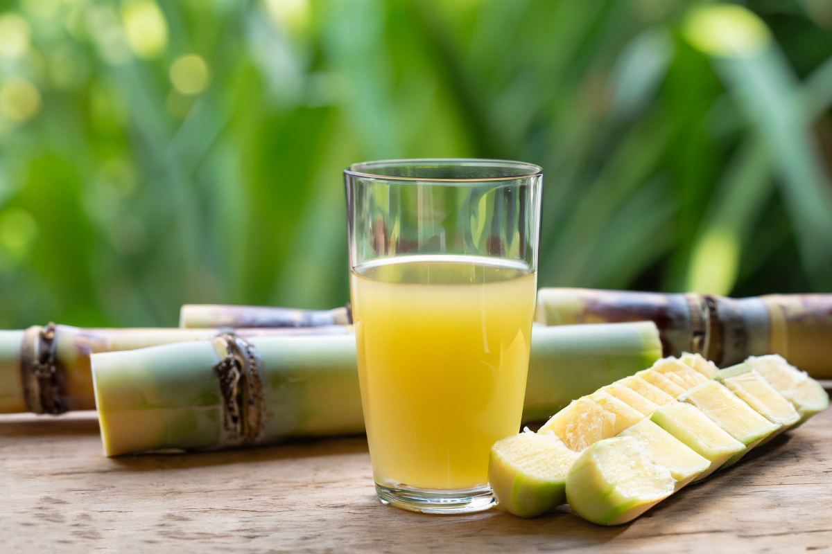 Derivados da cana-de-açúcar