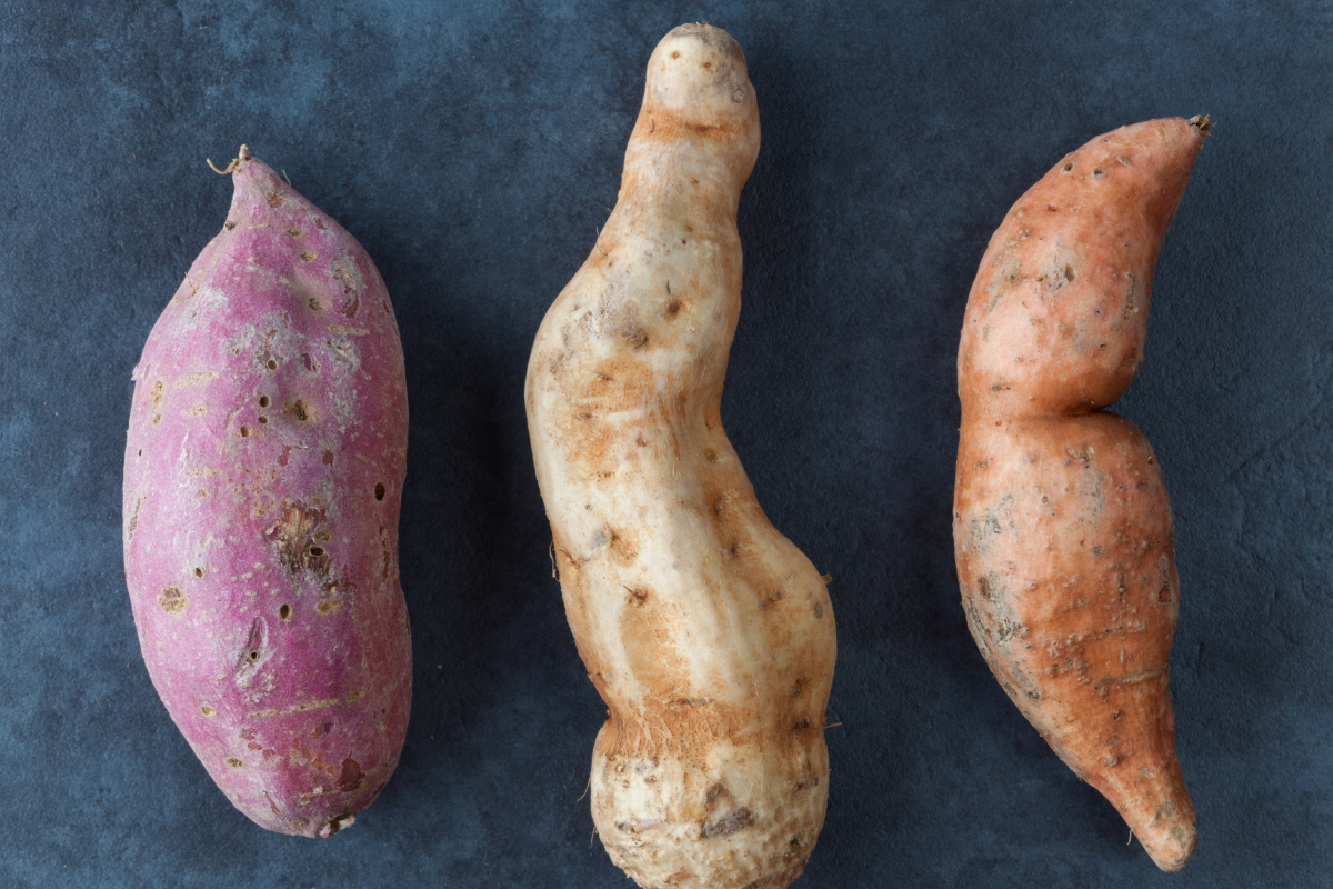 Batatas-doces coloridas