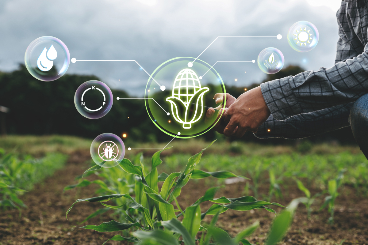 aplicativos do Governo para agricultores
