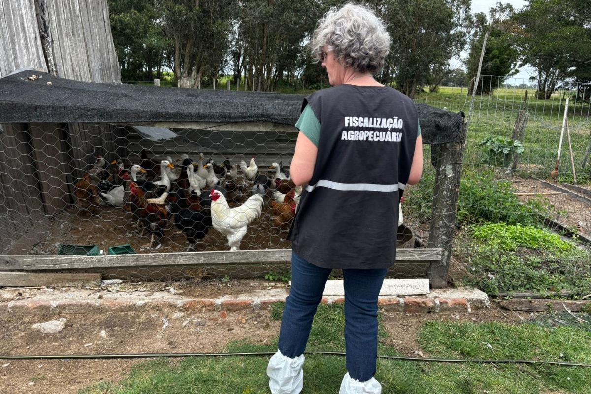 Vigilância Sanitária, gripe aviária, reserva do taim RS