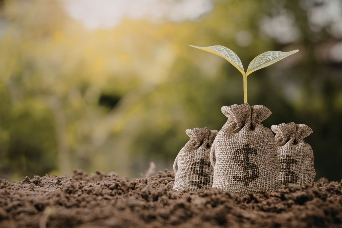 PIB da agropecuária registrou 11,7% de alta em 2025. Foto: Adobe Stock 