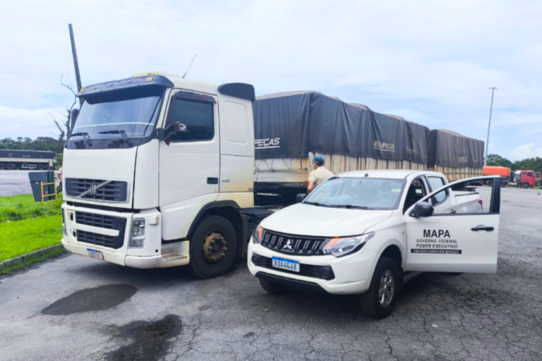 Ministério identifica fraude em carga de soja no Porto de Paranaguá