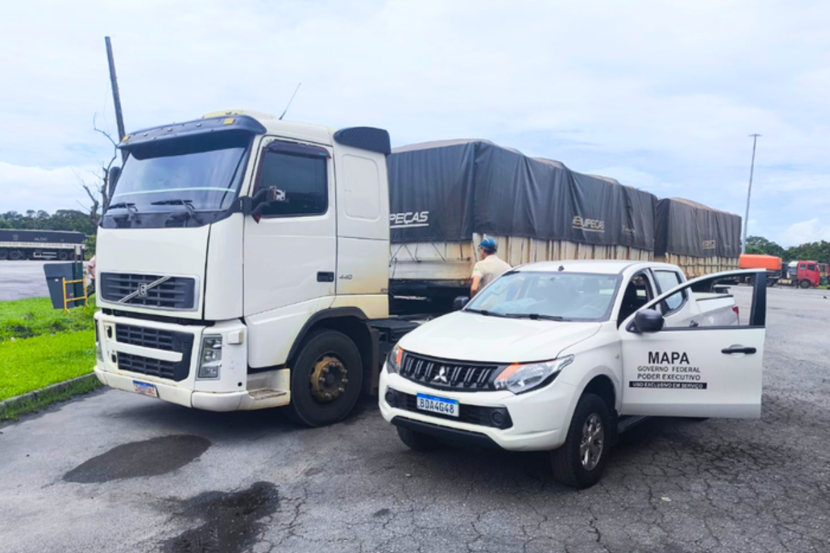 Foto: Mapa/Divulgação