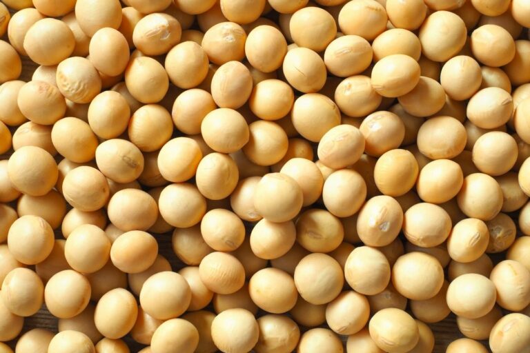 Nova fiscalização da soja para a China gera embate entre governo e exportadores