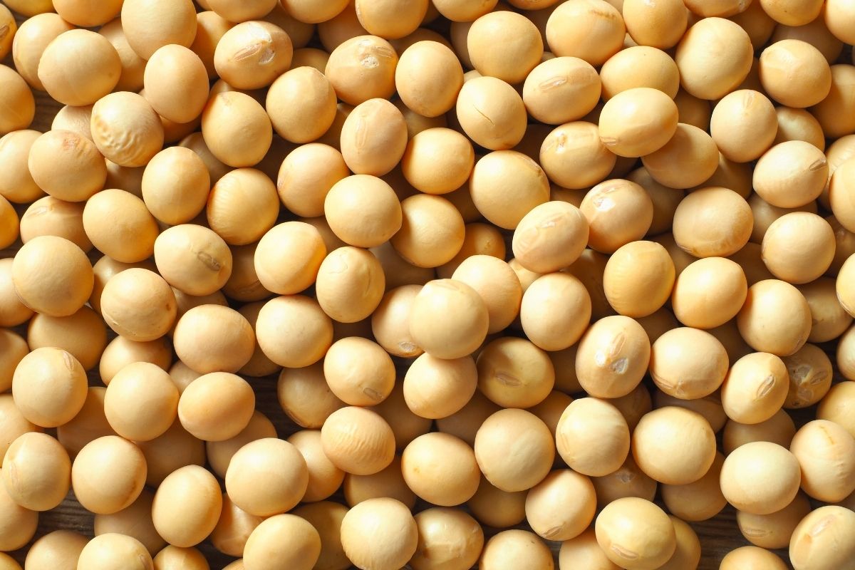 Reforço na fiscalização ocorreu após notificações da China em cargas de soja de cinco empresas brasileiras, incluindo a Cargill. Foto: Adobe Stock 